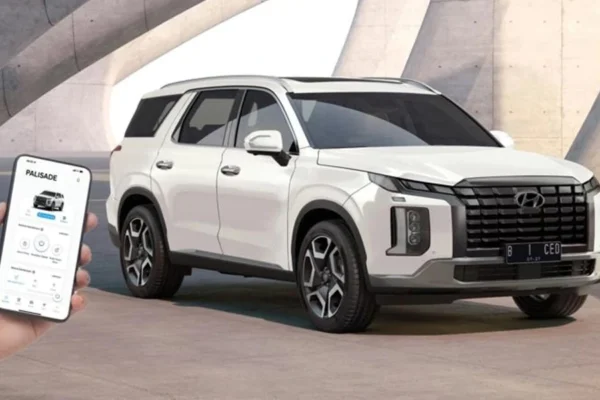 New Palisade
