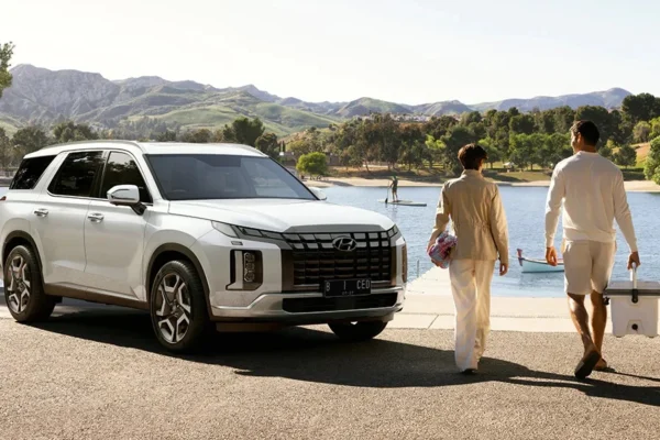 New Palisade