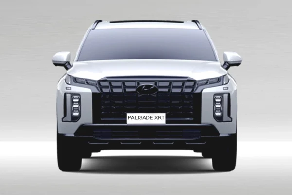 New Palisade