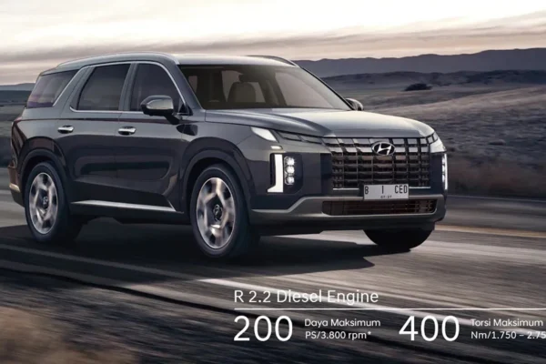 New Palisade