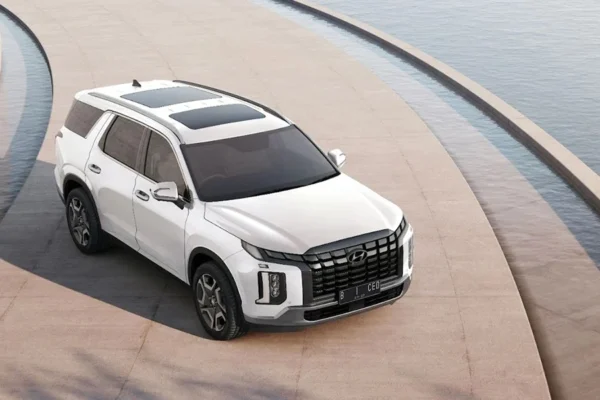 New Palisade