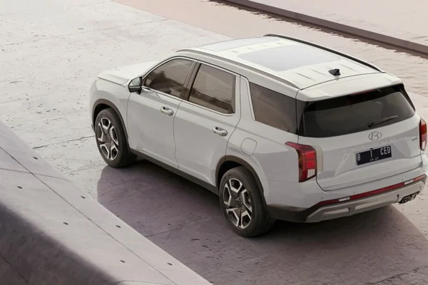 New Palisade